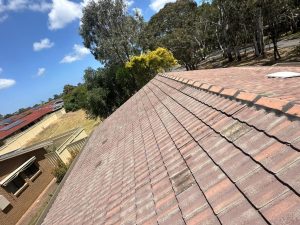 5 Signs Your Ridge Caps Need Attention (Before the Next Adelaide Storm)