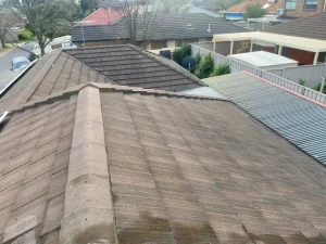 5 Small Roof Repairs Adelaide Homeowners Keep Putting Off (And What They Turn Into)
