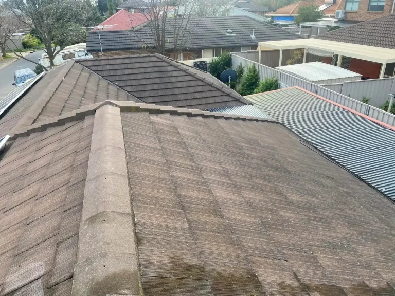 5 Small Roof Repairs Adelaide Homeowners Keep Putting Off (And What They Turn Into)